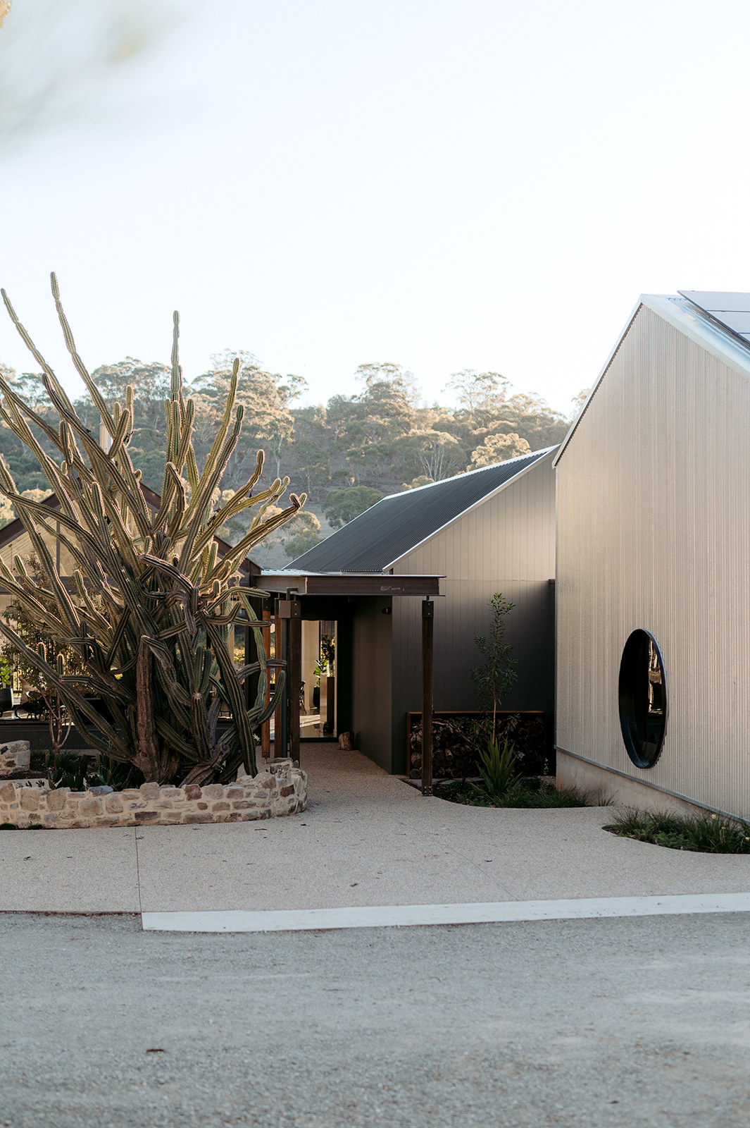 Gravel courtyard with a tall cactus beside a corrugated gable house with a round window