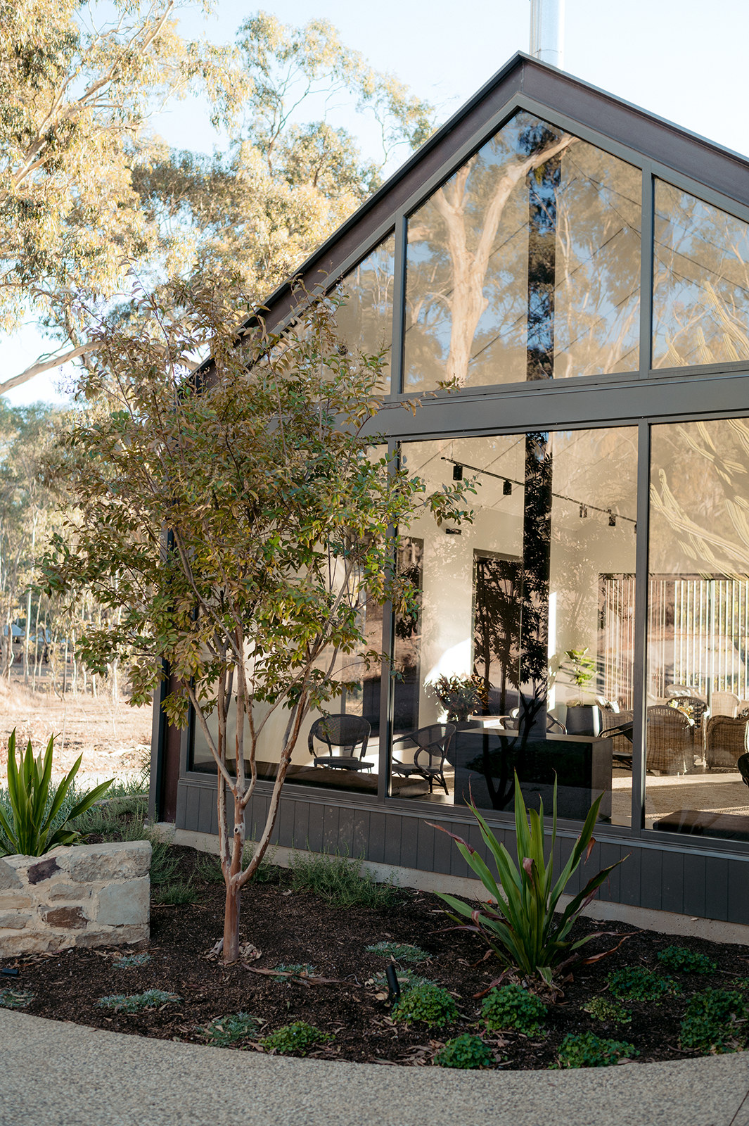 Norwood Residence, glazed gable facade behind a young tree